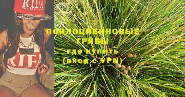 СК Кодинск