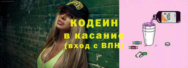 СК Кодинск