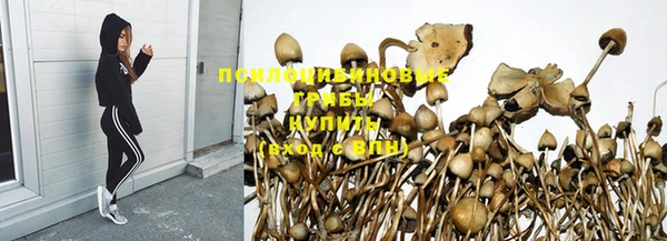 бошки Сатка