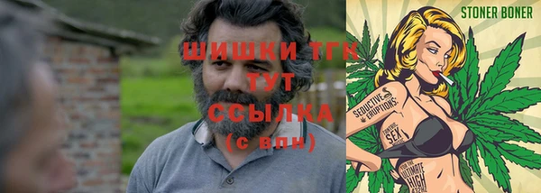 крисы Корсаков
