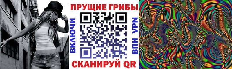 Галлюциногенные грибы MAGIC MUSHROOMS  Спас-Клепики 